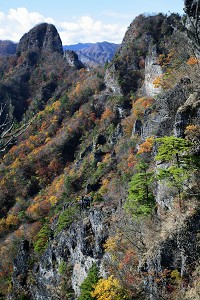 �R���̍g�t