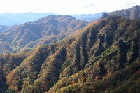 �R���̍g�t