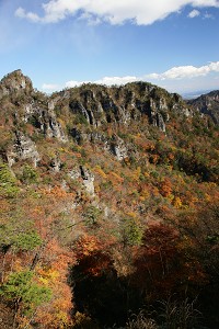 �R���̍g�t